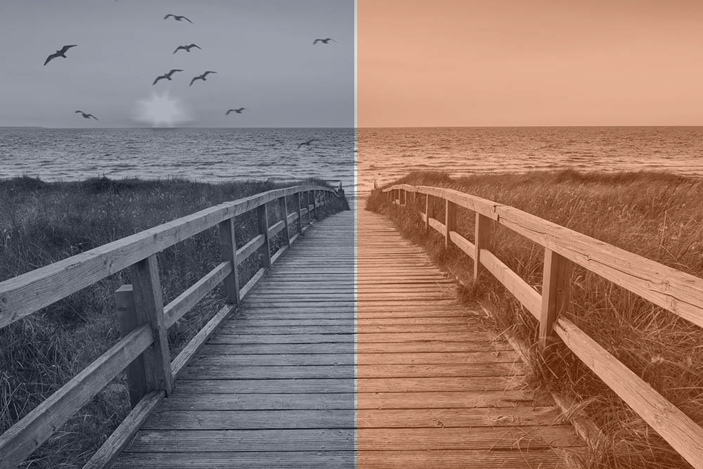 ESSAY: 'Should we go right, or left?'